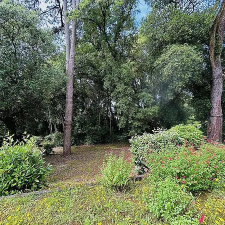 Lumineux Proche Plage, Bois, Marché - 4 Pers, Parking, Animaux Acceptés - Fr-1-245-207 Apartamento Le Pouliguen