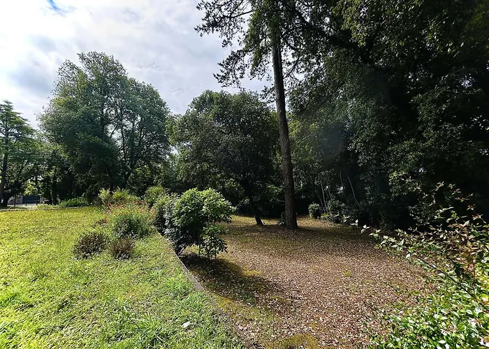 Lumineux Proche Plage, Bois, Marché - 4 Pers, Parking, Animaux Acceptés - Fr-1-245-207 * Le Pouliguen