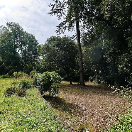 Lumineux Proche Plage, Bois, Marche - 4 Pers, Parking, Animaux Acceptes - Fr-1-245-207 * Le Pouliguen